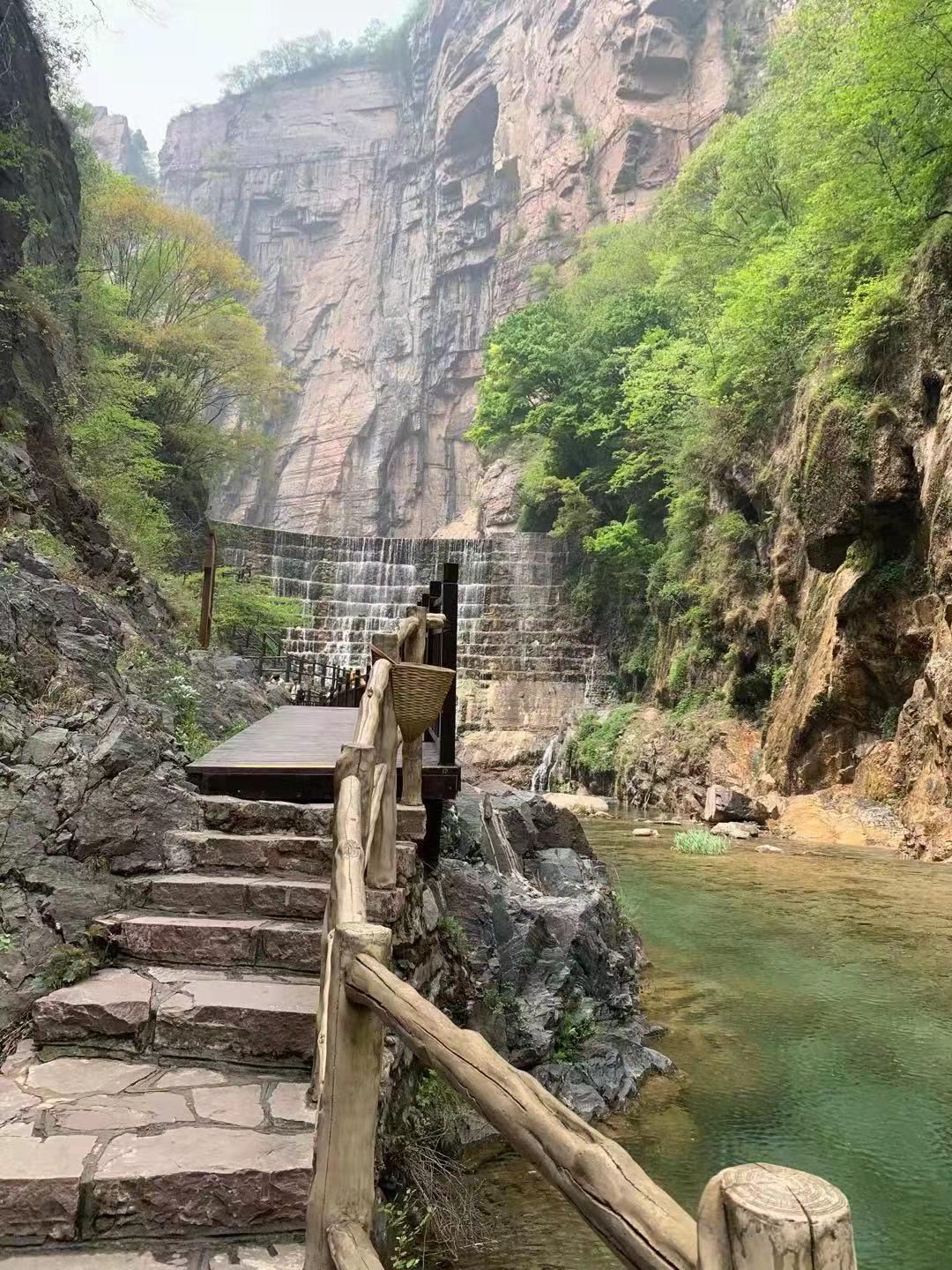 河南，古老活力之地，绿意盎然🍃