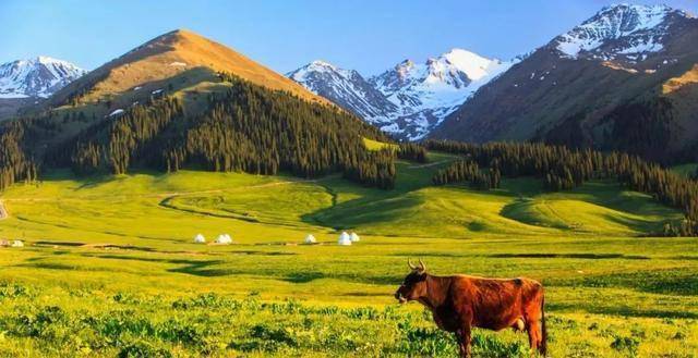 西域秘境，新疆的神秘与美丽