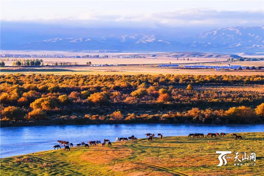 西域秘境,新疆的神秘与美丽