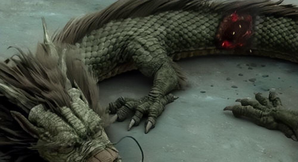 营口，蜕变之力，学习铸就自信与辉煌之路