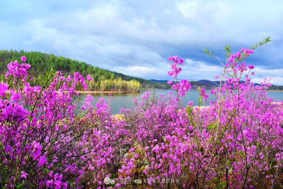 呼伦贝尔，探寻心灵的净土之旅